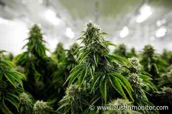 No clear path forward for medical marijuana use by public safety employees - Austin Monitor