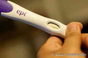 UK Parliament Makes At-Home Medical Abortion Policy Permanent - National Catholic Register