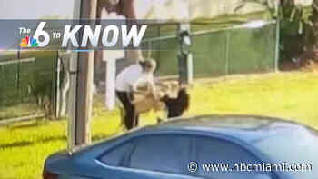 6 to Know: Frightening Footage Shows Woman and Dog Attacked by Another Dog