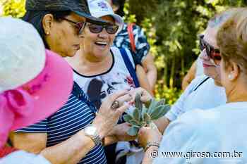 ​Cotia é uma das 150 melhores cidades brasileiras para a terceira idade viver, diz pesquisa - Giro S/A