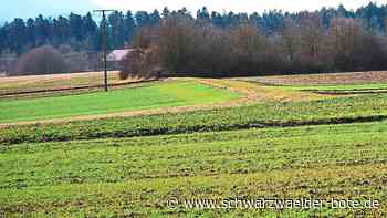 Absprunggelände auf Waldhof-Areal - Unmut über Schließung des Beteiligungsportals ist groß - Schwarzwälder Bote