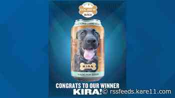 Minnesota rescue dog featured on Busch Dog Brew cans