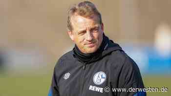 Dresden – Schalke: Aufatmen! Büskens verkündet tolle Nachrichten - DER WESTEN