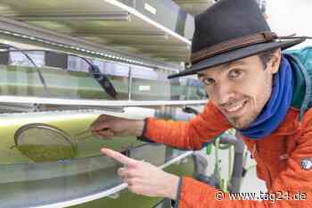 Grüne Idee für sauberes Wasser aus Dresden - Löst Entengrütze das Phosphor-Problem? - TAG24