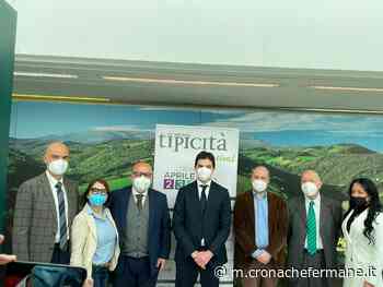 Fermo eccellenza delle Marche, Acquaroli: «Tipicità biglietto da visita ideale per la nostra regione» (Video) - Cronache Fermane