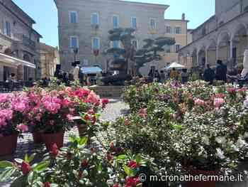 Week end tra fiori, teatro e musei: «Successo di presenze a Fermo» - Cronache Fermane