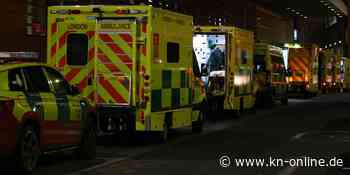 Zweijähriger Junge in England stirbt nach Hundebiss