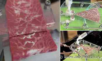 Scientists develop plant-based STEAKS from pea protein with the same fat marbling as the real deal