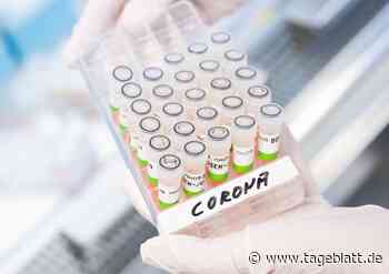 Gesundheitsamt im Kreis Stade schränkt Kontaktverfolgung weiter ein - Landkreis Stade - Tageblatt-online