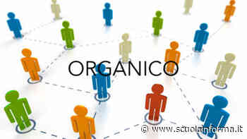 Organico docenti 2022/23, i numeri: ripartizione per grado/ordine di scuola (BOZZA Decreto) - Scuolainforma