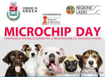 Ardea, torna il Microchip day: ecco quando e come prenotare - Il Corriere della Città