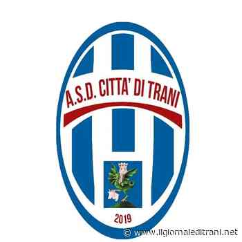 Chiedono contributi economici in nome dell'Asd Città di Trani, la società: «Nessuna nostra delega» - Radio Bombo