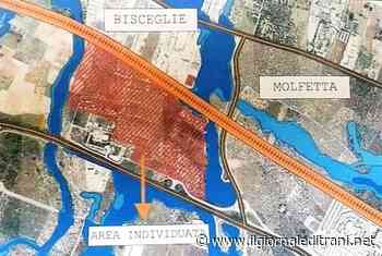 Nuovo ospedale a Bisceglie, Articolo97: «Si costruirà a 20km da Trani e la consigliera regionale esulta» - Radio Bombo