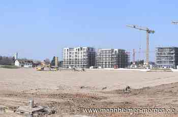 Projekt auf Spinelli wird Teil der internationalen Bauausstellung in Heidelberg - Mannheim: Käfertal - Nachrichten und Informationen - Mannheimer Morgen