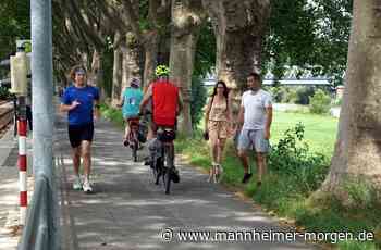 Warum trotz neuer Fahrradstraße der Radverkehr in Mannheim-Neuostheim weiter für Zündstoff sorgt - Mannheim: Neuostheim und Neuhermsheim - Nachrichten und Informationen - Mannheimer Morgen