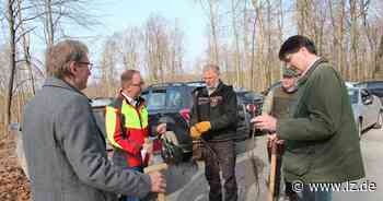 20.000 neue Bäume für Detmold | Lokale Nachrichten aus Detmold - Lippische Landes-Zeitung