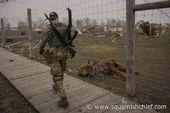 Ukrainian president says defense is at a 'turning point' - Squamish Chief