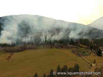 How does BC support mental health of wildfire survivors? - Squamish Chief