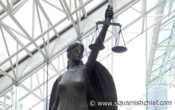 Papal envoy's records sought in alleged B.C. priest sex abuse case - Squamish Chief