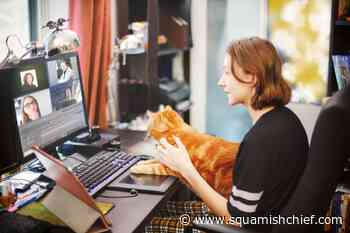 How many Canadians prefer working from home than in office? - Squamish Chief