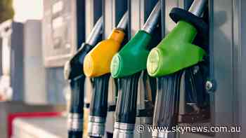 Oil prices at 'centre' of cost of living relief: Angus Taylor - Sky News Australia