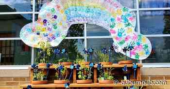 CAP Cayuga/Seneca: Head Start programs a foundation for healthy families - The Citizen