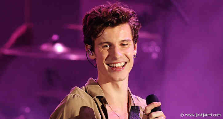 Shawn Mendes Releases Music Video for New Single 'When You're Gone' - Read the Lyrics & Watch Now!