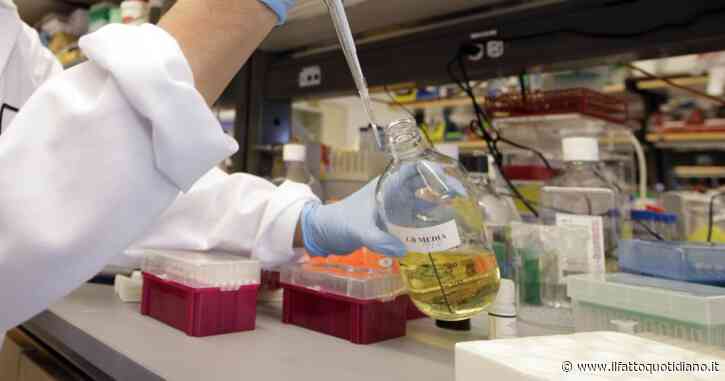 Aids, “ottenute in laboratorio cellule immunitarie resistenti all’Hiv”