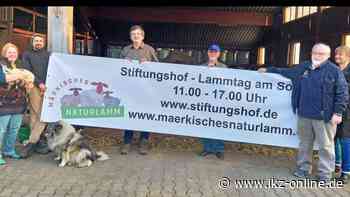 Iserlohn: Stiftungshof lädt Klein und Groß zum Lammtag - IKZ News