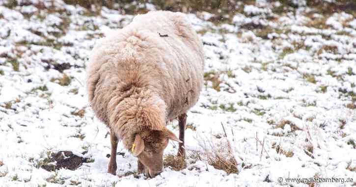 Frost und Schnee: Der Winter ist noch nicht vorbei