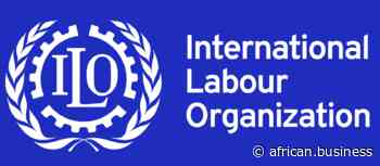 Coronavirus - Nigeria: UN Strengthens the Capacity of Nigerian MSMEs and Manufacturers to meet the demand for quality healthcare products and Personal Protective Equipment - a COVID 19 Response Project - African Business