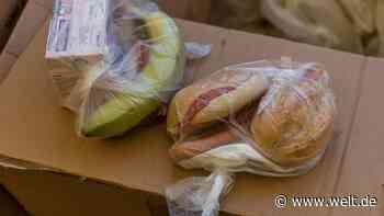 Zentrales Internet-Portal zur Verteilung der Ukraine-Hilfe - WELT