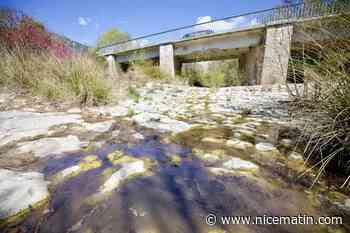 Les Alpes-Maritimes placées en alerte sécheresse, des mesures de restrictions annoncées