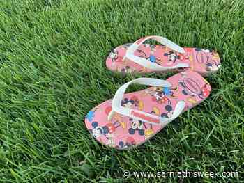 Transforming an unhealthy lawn into a lush green carpet - Sarnia and Lambton County This Week