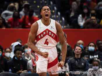 Scottie Barnes is the Raptors bet worth your dollar - Sarnia and Lambton County This Week
