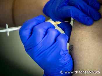 Lambton mass COVID-19 vaccination clinics closing by month's end - Sarnia Observer