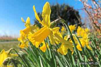 Sonnigster März seit Beginn der Wetteraufzeichnungen