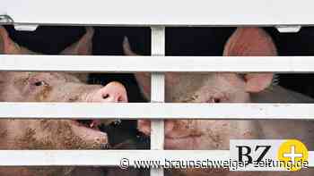 Umfrage: Mehrheit der Niedersachsen will auf Fleisch verzichten