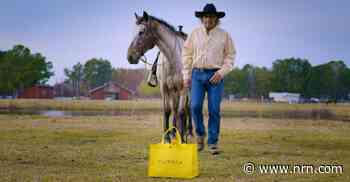 Brinker, drone delivery company to expand 5-minute service to Texas