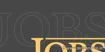 Barbara Lung leitet die Beratung der Wiener Kreativagentur Heimat - DER STANDARD