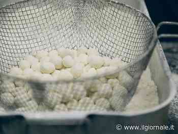 La mozzarella di bufala campana e la sua firma