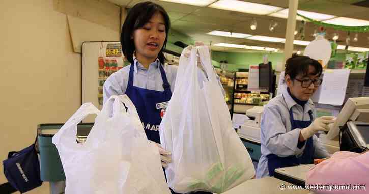 Ban on Plastic Supermarket Bags Backfires: Hilarious Twist Leaves People Buying Entire Boxes of Them Now