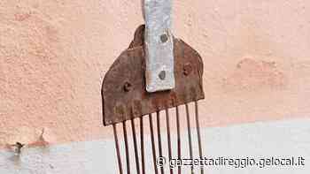 Reggio Emilia, Massimo Zamboni all'Arco presenta “La mia patria attuale” - La Gazzetta di Reggio