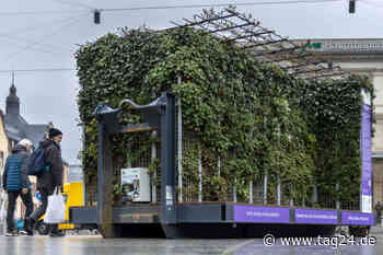 Neuer Hingucker in Chemnitz: Was grünt so grün vorm Hauptbahnhof? - TAG24