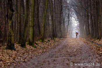 Standort für ersten Friedwald in Chemnitz gefunden - TAG24
