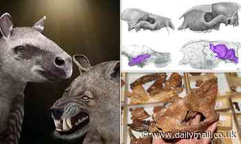 Prehistoric mammals prioritised bulking up over brain size to boost their chances of survival