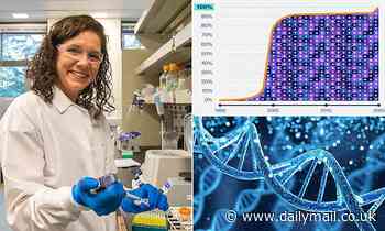 The human genome is finally COMPLETE