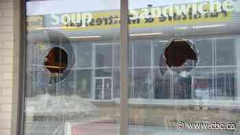 After series of incidents last year, Regina doughnut shop hit by vandalism again