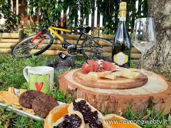 Profumi e sapori di primavera tra Faenza e Forlì con “Alba, gusto e passeggiata” - Ravennawebtv.it