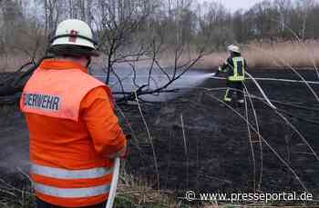 FW Celle: 600 m² Grasland brennen an der Aller